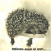 Аватар: Николай Кондратьев