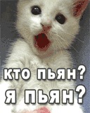 Vvv Vvv фотография #1