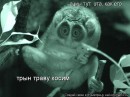 Фотография Егорова Андрея