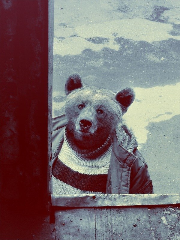 Станислав Иванов | Зеленоград