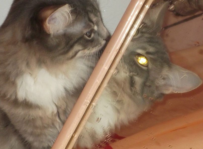 Олег Леончук | 