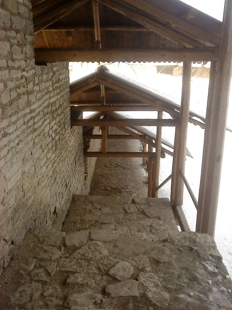 Александр Соколов | Санкт-Петербург