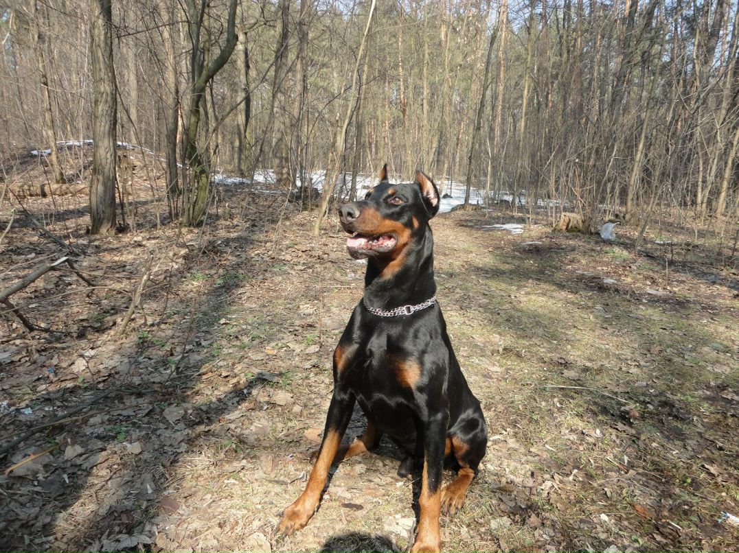 Катя Яроцкая | Киев