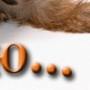 №135, Катерина Волосевич, 32 года, Гродно №135, Катерина Волосевич, 32 года, Гродно