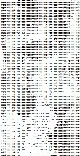 Максим Турбин | Сочи