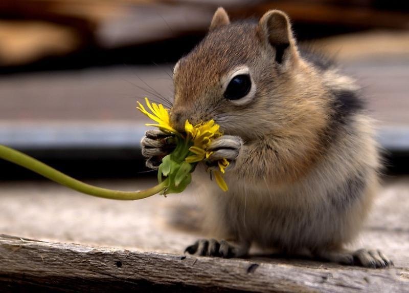 Наталья Горбачева | Москва