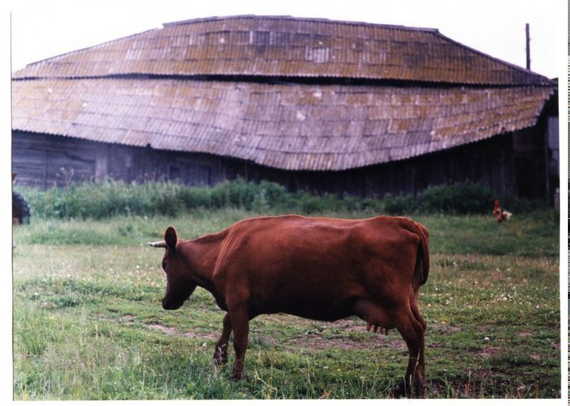 Руслан Беляев Ξ | Санкт-Петербург