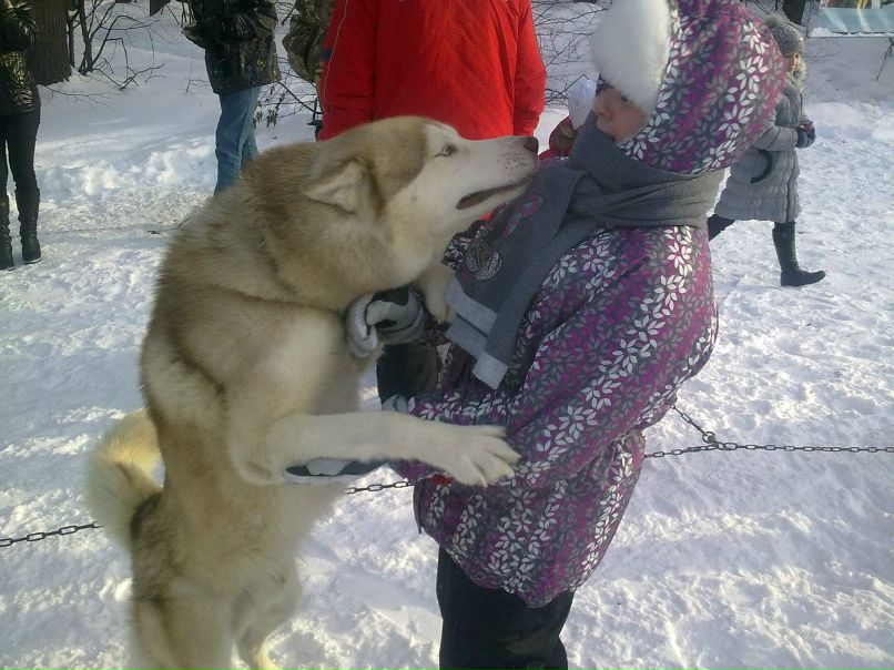 Татьяна Ярошенко | Казань