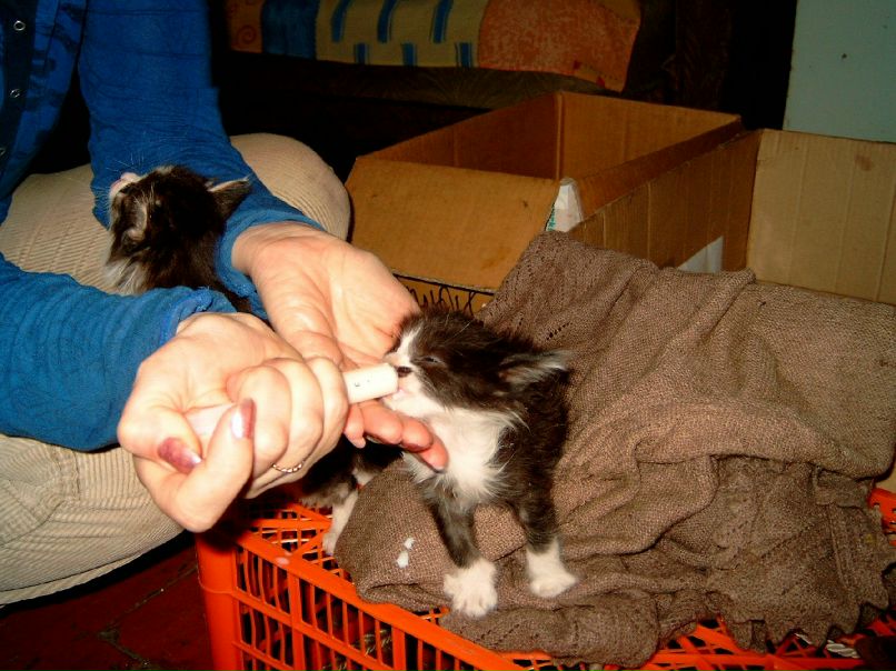 Olga Odintsova ViP-------=- | Красноярск