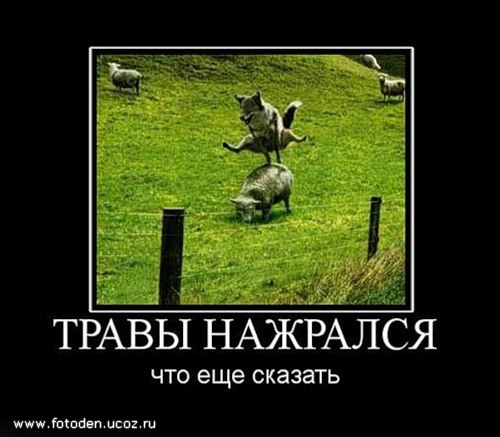 №65, Антон Казачков, Истра №65, Антон Казачков, Истра