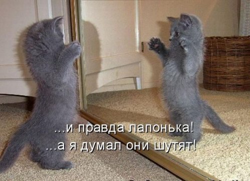 Илья Копыл | Москва