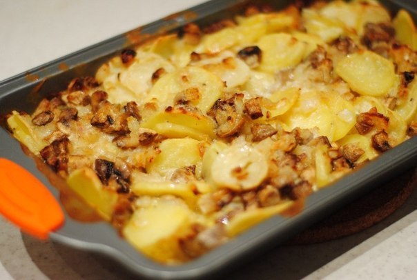 Светлана Ильина | Сегежа