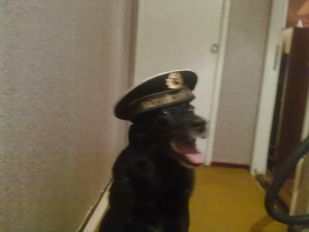 Павел Игнатов | Тула