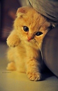 Natali Brusilo | Ирпень