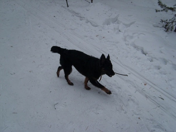 №16, Екатерина Кочкайкина, Челябинск №16, Екатерина Кочкайкина, Челябинск