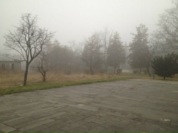 №12, Андрей Цыбулька №12, Андрей Цыбулька