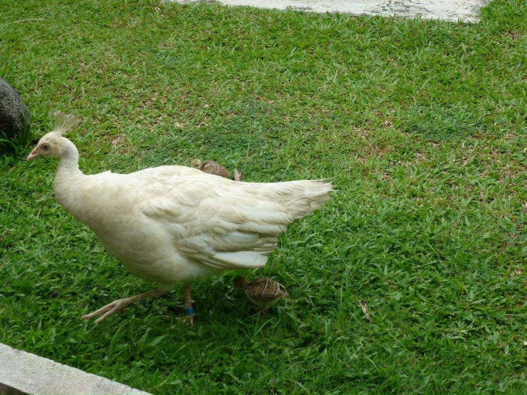 Александр Стуглев | Санкт-Петербург
