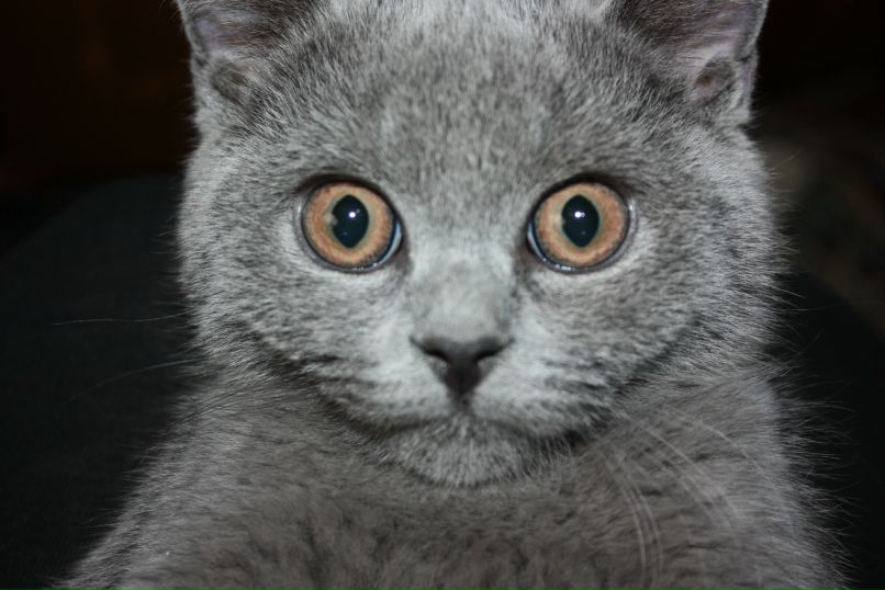 Илья Михайлович | Москва