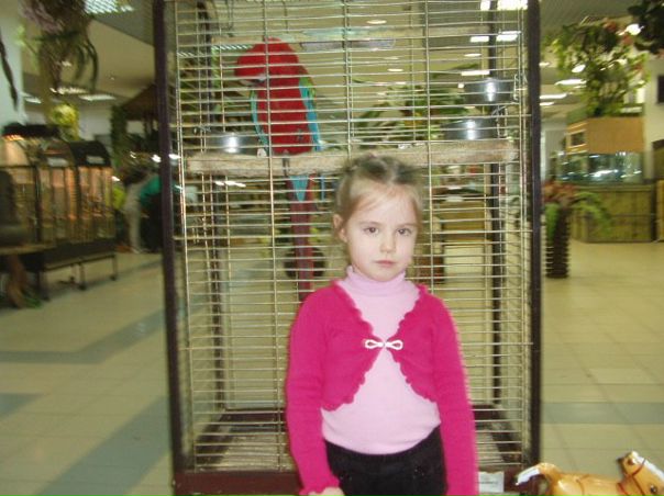 №88, Валентина Чебанюк, Киев №88, Валентина Чебанюк, Киев