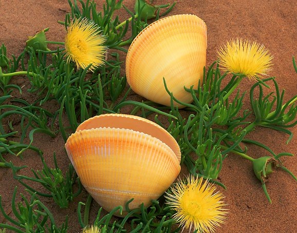 №28, Marina Bogatkova, Karlovy Vary №28, Marina Bogatkova, Karlovy Vary