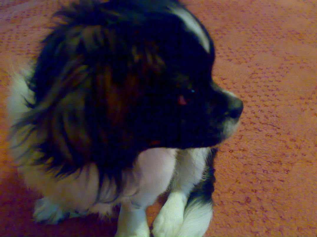 Василий Герман | Москва