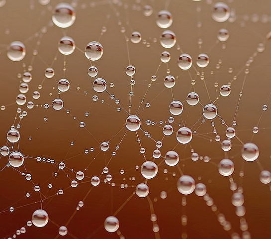 Оксана Бунина | Тюмень