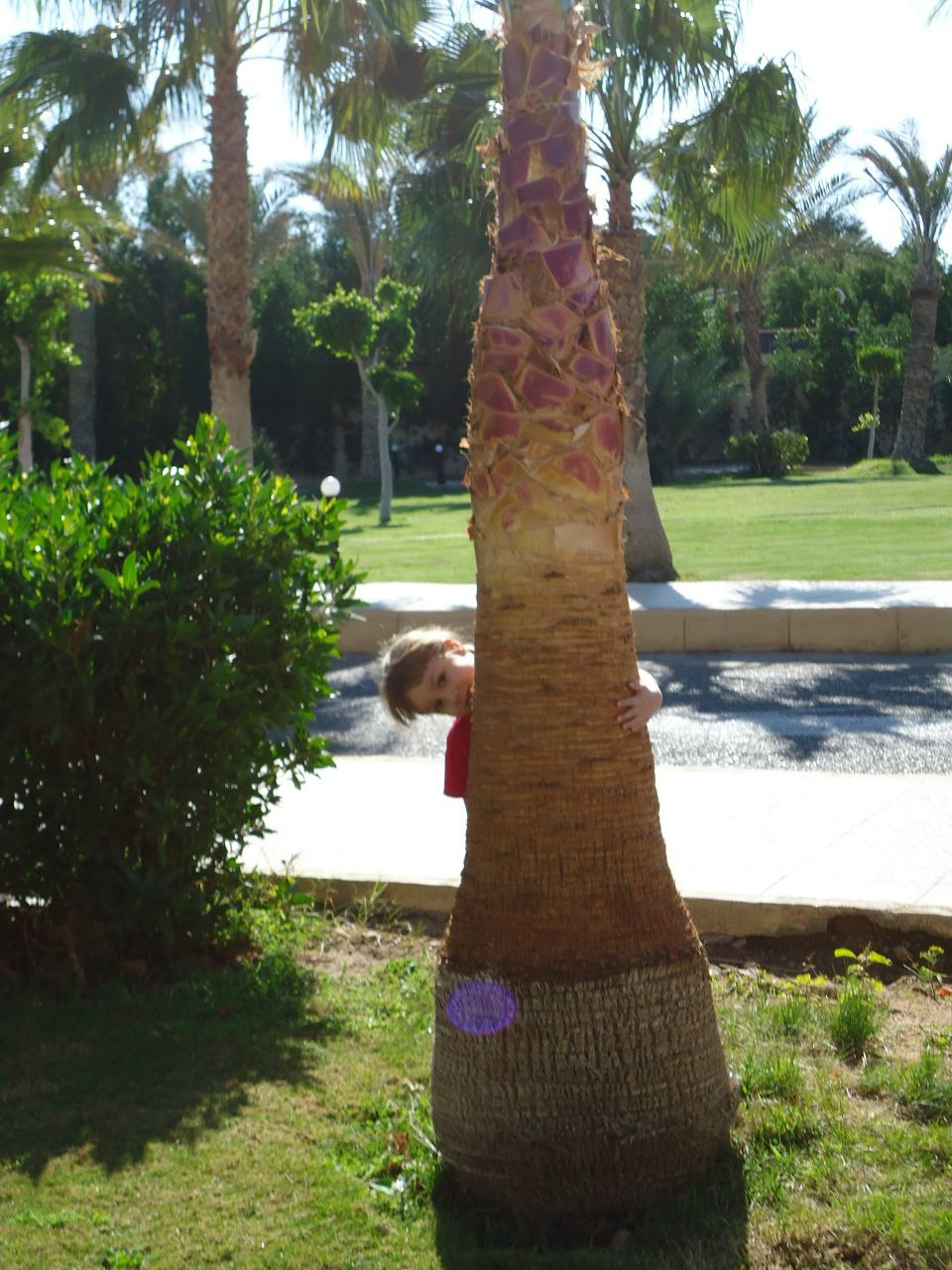 Ирина Середа (Котунова) | Марганец