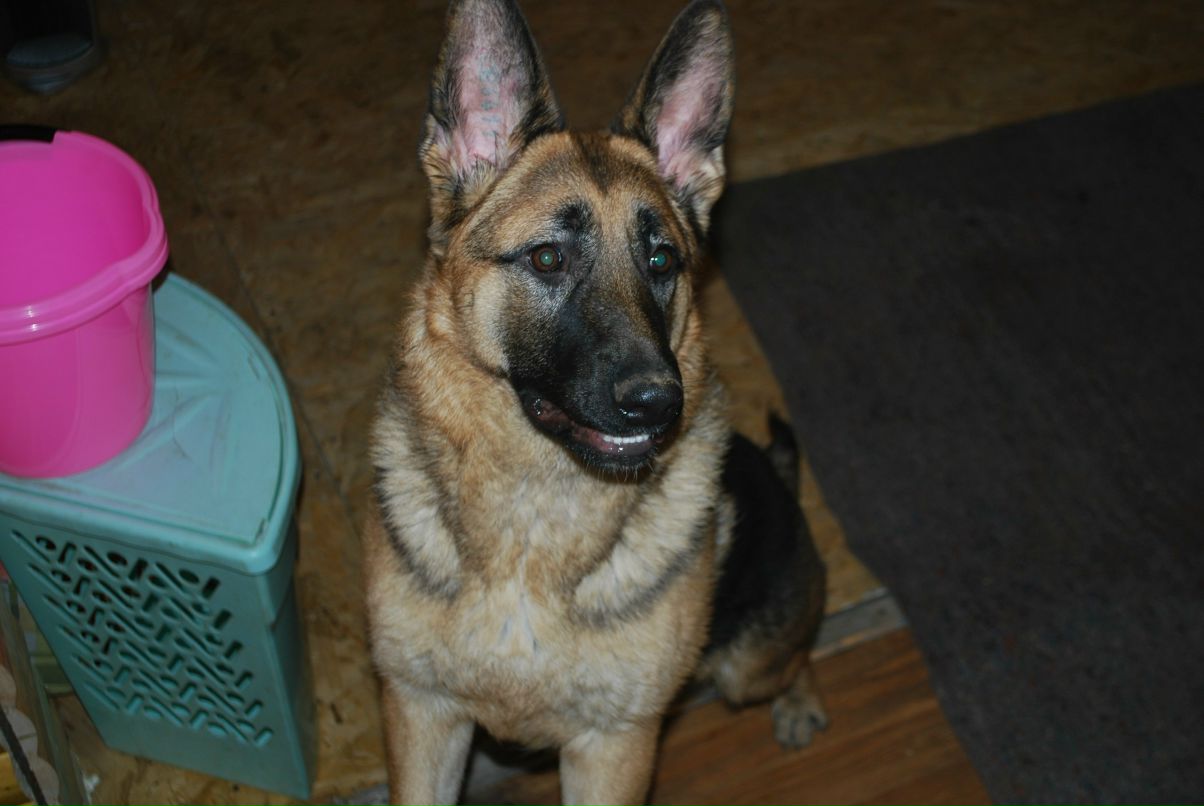 Игорь Романов Евгенивеч | Санкт-Петербург