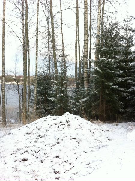 №56, Надин Ледовская, Санкт-Петербург №56, Надин Ледовская, Санкт-Петербург