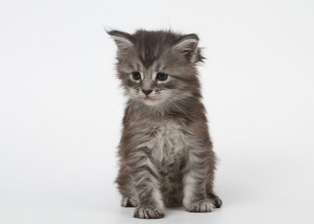 Aljona Klimova | Таллин