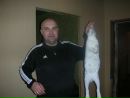Фотография Дмитрий Сорокин