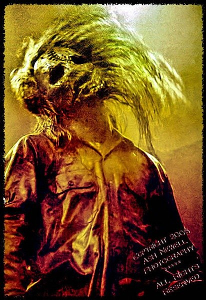 Jane Voltury | Volterra