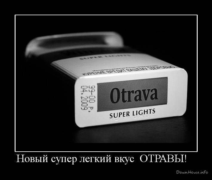 Мария Левина ツ | Ярославль