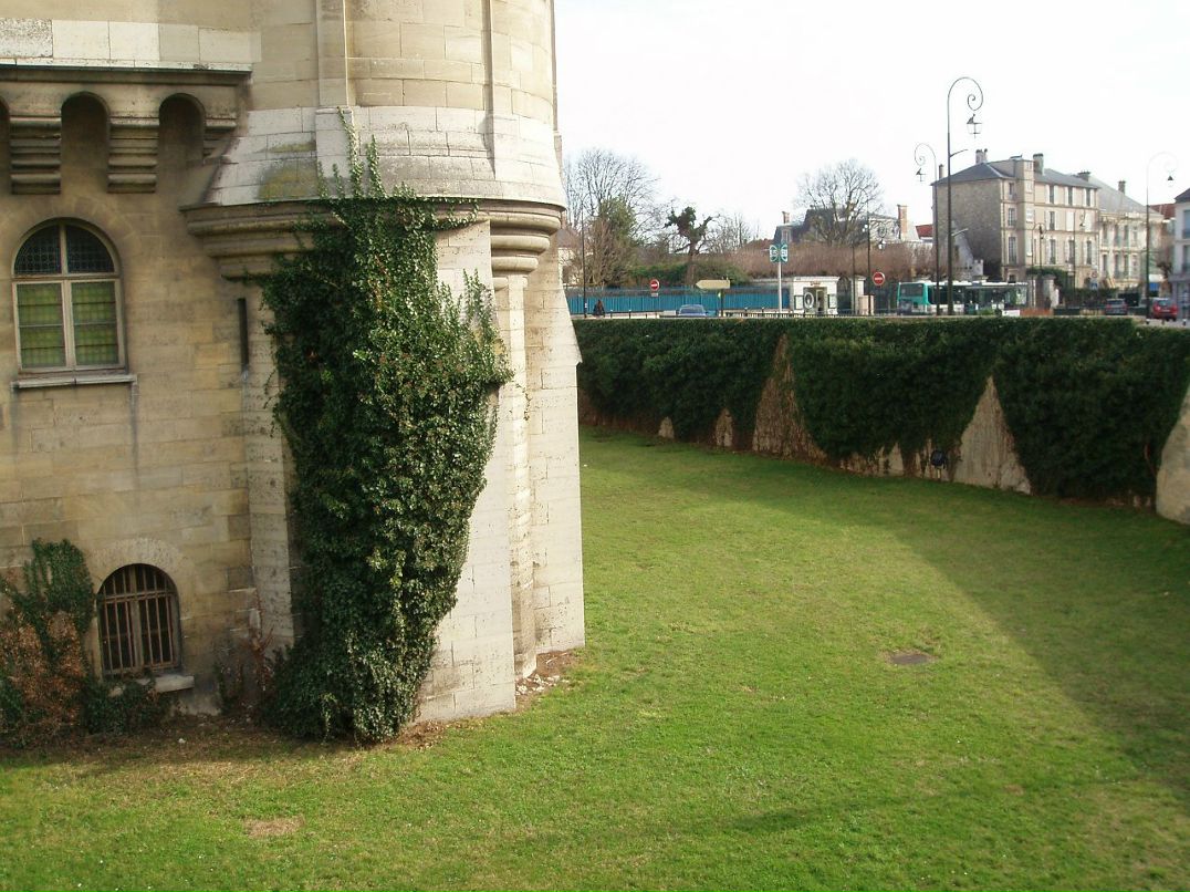 Михаил Крестьянинов | Paris