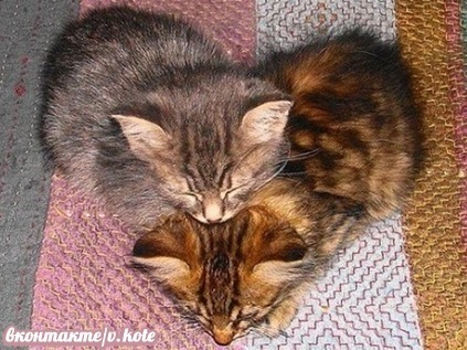 №18, Дина Касьянова, Улан-Удэ, Россия №18, Дина Касьянова, Улан-Удэ, Россия