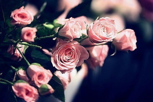 №108, Тильтикова Мария, 39 лет, Одесса №108, Тильтикова Мария, 39 лет, Одесса