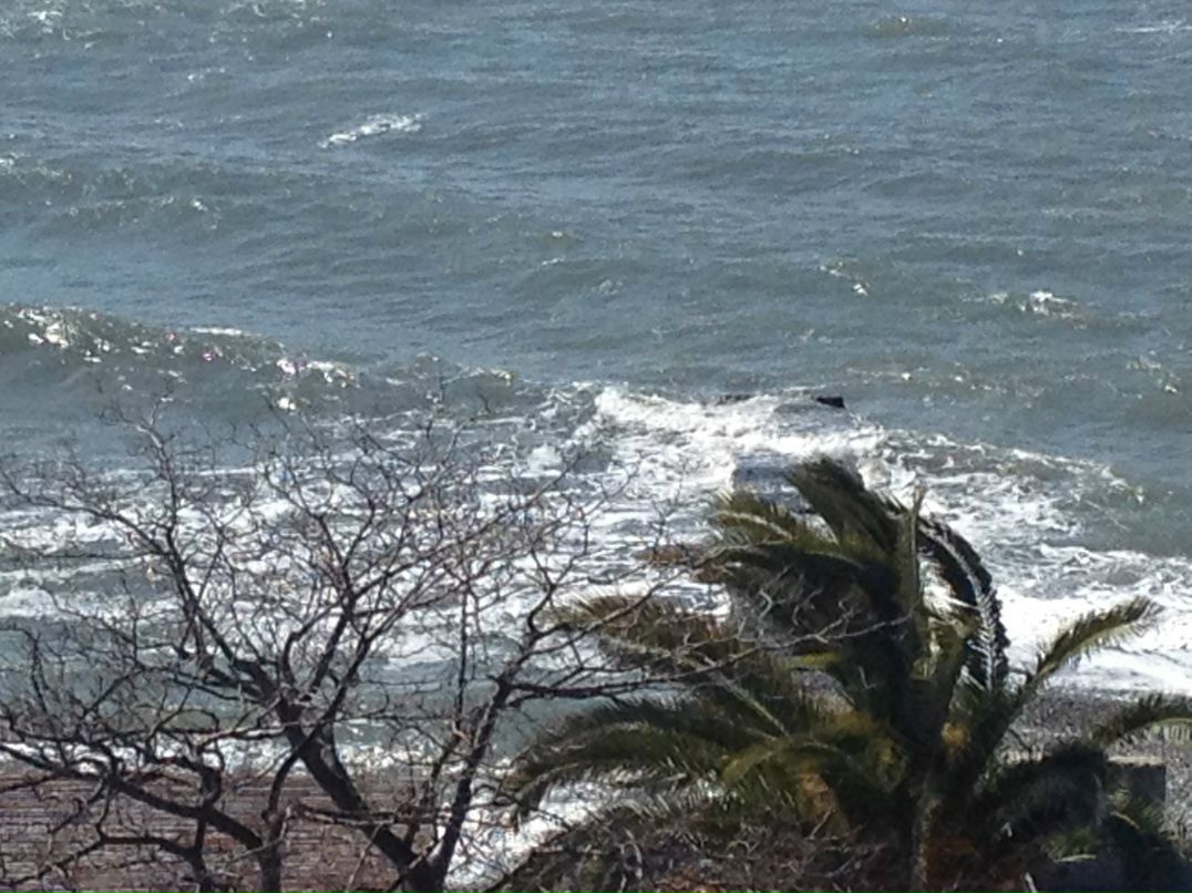 Вера Шило | Санкт-Петербург