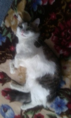 Светлана Мирошник | Казань