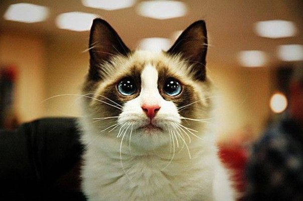 Максим Родионов Юрьевич | Мариуполь