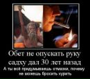 Фотография Алексей Купцов