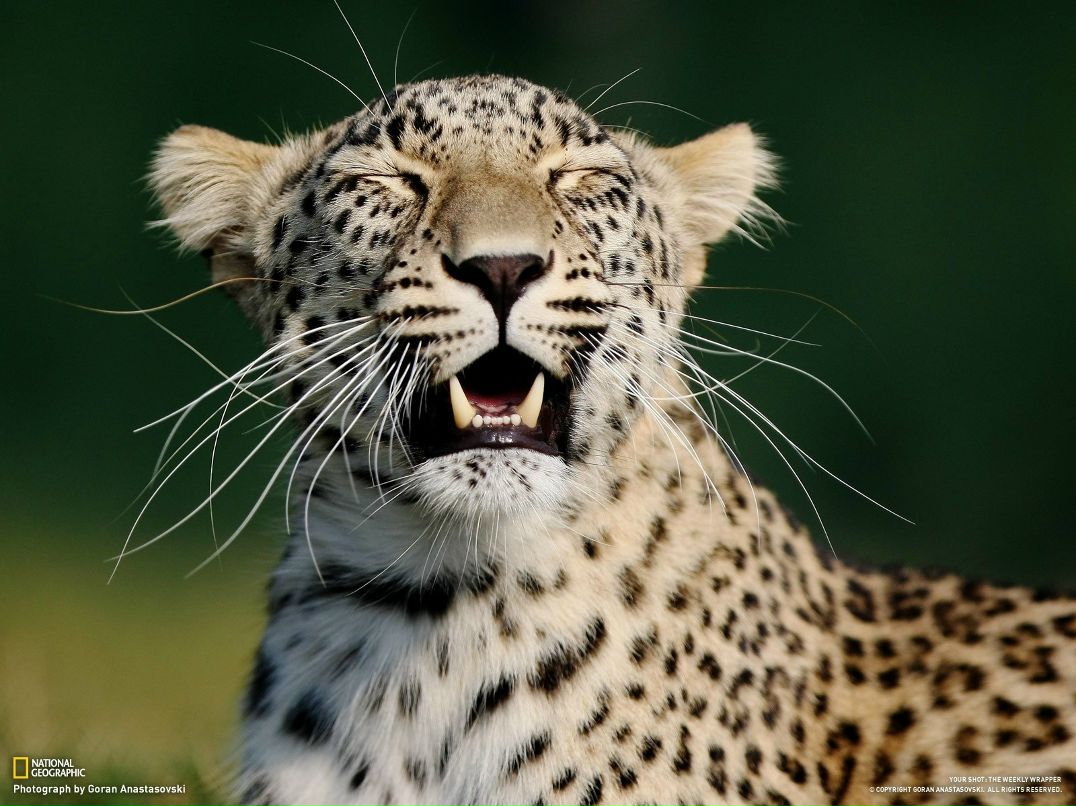 Алексей Осипов | Санкт-Петербург