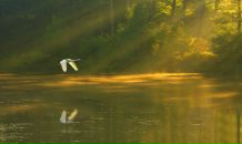 №36 Лау Кэт 23.12.1985: профиль, фото, статус - ВКонтакте