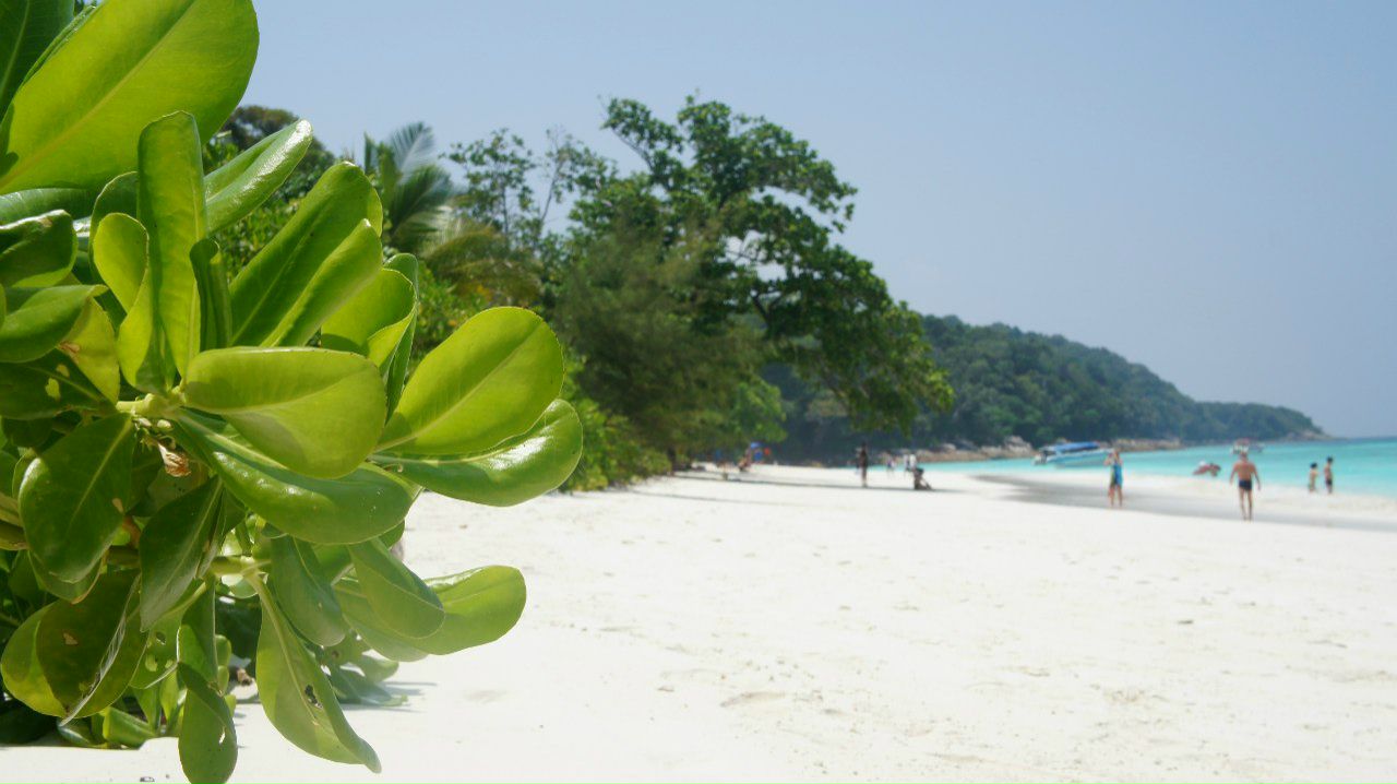 Юлия Коляновна | Москва