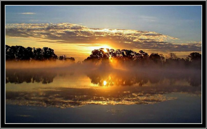 Александр Шиндяпин | Зеленоград