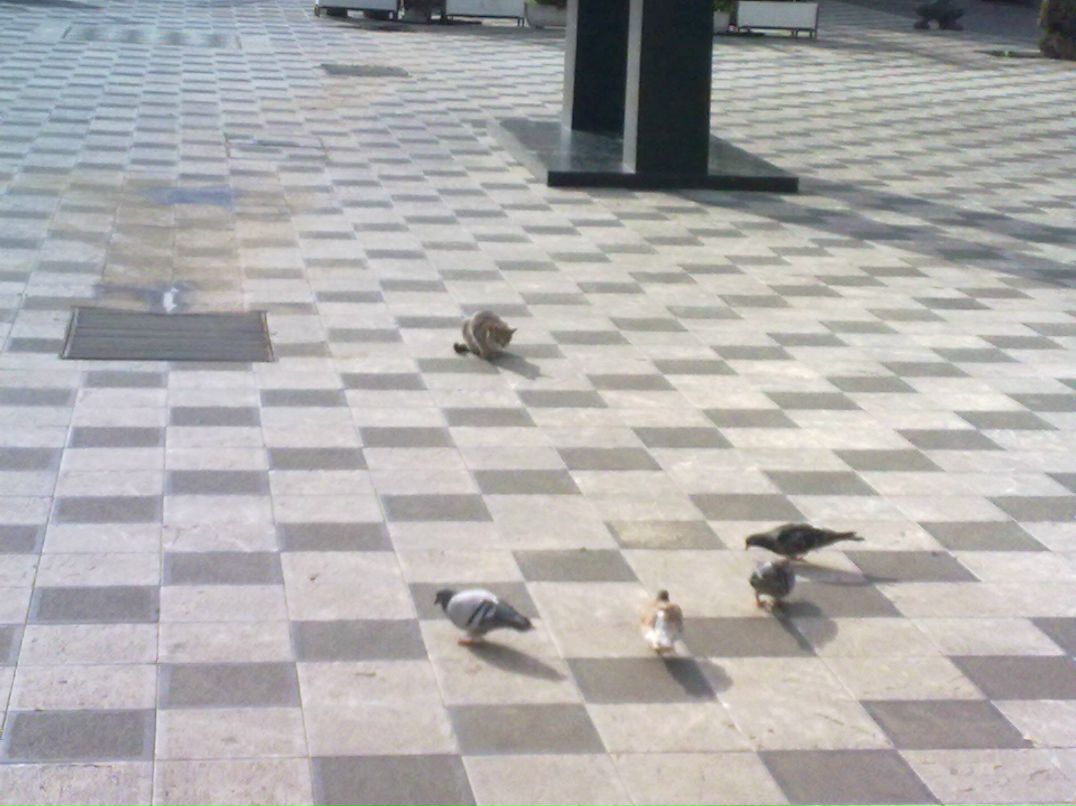 Нара Гевондян | Москва