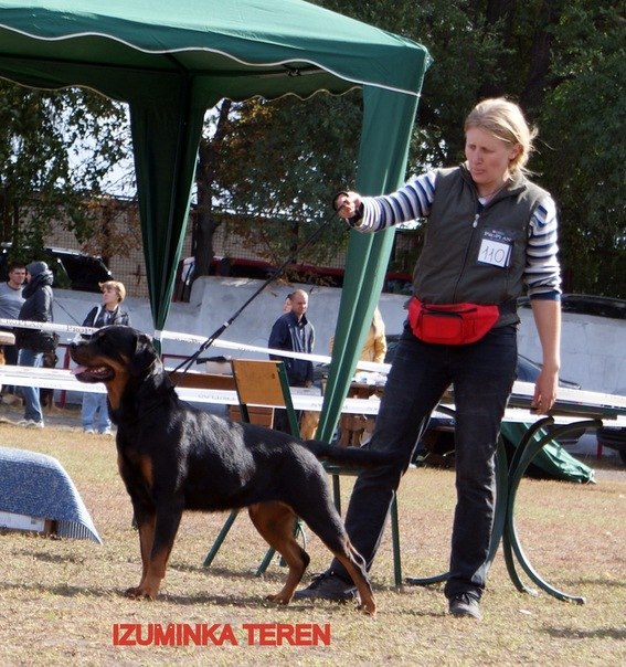 №82, Ольга Брусник, Кривой Рог №82, Ольга Брусник, Кривой Рог