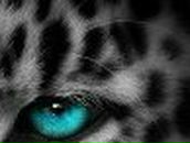 Таня Шалюта Tasha | Кропивницкий / Кировоград