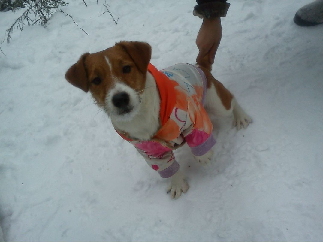 Юлия Шотик | Москва