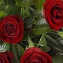 №4, Ольга Осипова, Жлобин №4, Ольга Осипова, Жлобин