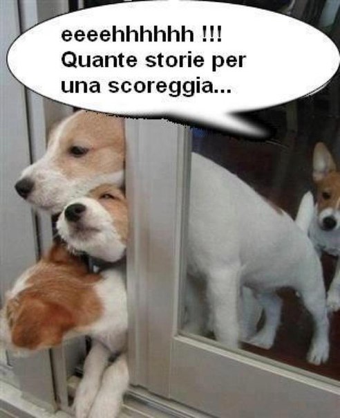 №10, Oleksandr Dzhurko, Симферополь №10, Oleksandr Dzhurko, Симферополь